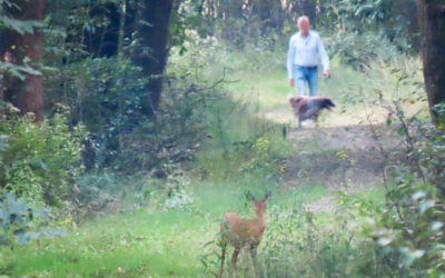 De wolf: deel 3